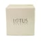 Lotus Herbals White Glow Skin Whitening And Brightening Gel Creme 60g