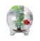 Fancy Apple Tank