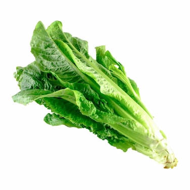 خَسّ