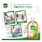 Dettol Anti-Bacterial Antiseptic Disinfectant 250ml