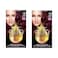 Garnier Olia Ammonia-Free Permanent Hair Colour 4.60 Dark Intense Auburn Pack of 2