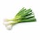 بايو لاند بصل أخضر - 250 جم