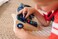 Melissa and Doug Vroom &amp; Zoom Interactive Dashboard