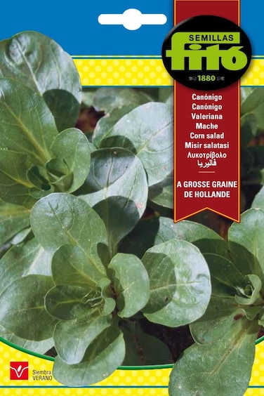 سلطة ذرة من فيتو كبيرة -3089