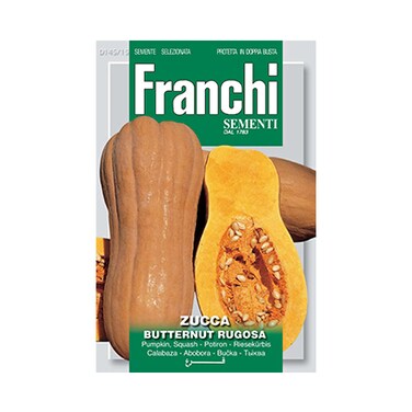 Franchi Zucca Butternut 145/15