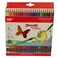 Coloured Pencils Erasables
