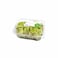Peninsula Farms Boston Leaves Packet