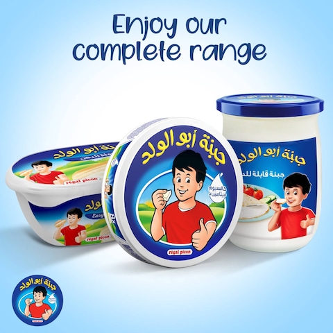 Regal Picon Cheese Triangles 16 Portions 240g