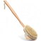 Detachable Bath Brush - long handle