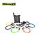 Resistance Bands Set of 5 with Accessory Kit
