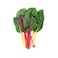 Local Mixed Swiss Chard 120g