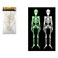Halloween Glow In The Dark Plastic Skeleton 40ft