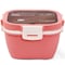 Eazy Kids Lunch Box -Pink