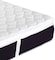 Galaxy Design Spencer Pillow Top Hybrid Latex Spring Mattress (Off-White) - Queen Size ( L x W x H ) 200 x 160 x 26 Cm - 5 Years Warranty.