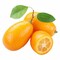 Imported Kumquats