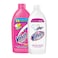 Vanish Stain Remover, Colors - 450 ml + Stain remover, Color - 450 ml
