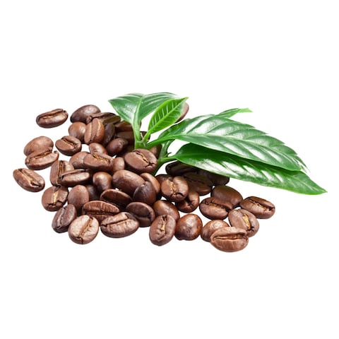 Caffe Mocha Coffee Beans 500g