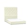 In House Madrid Velvet Bed Frame - Queen - 200x160 cm - Ivory