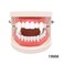 Toyvian 4 Boxes Vampire Teeth Dentures Fangs Horror False Teeth Cosplay Props For Halloween Costume Party Masquerade (13mm Box + 15mm Box + 17mm Box + 19mm Box) For Kids