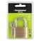 Terminator Brass Pad Lock 50MM
