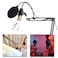 Docooler - BM800 Condenser Microphone Lit Pro Audio Studio Recording &amp; Brocasting Adjustable Mic Suspension Scissor Arm Pop Filter Silvery+Grey