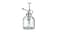 Plant mister, clear glass, 25 cl