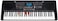 Mike Music ELECTRONIC KEYBOARD 61 KEYS MK825 (Mk-825, black)