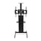 Connics TV Wallmount Trolley - Y601