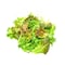 Pure Harvest Mighty Lettuce Mix Salad 125g