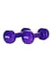 SkyLand Set Of 2 Classical Head Vinyl Dumbell 8kg