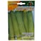 Franchi Golden Line Le Biologiche Organic Seeds (Zucchino Genovese)