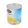Premium Choice Pineapple Broken Slices In Heavy Syrup 3050g