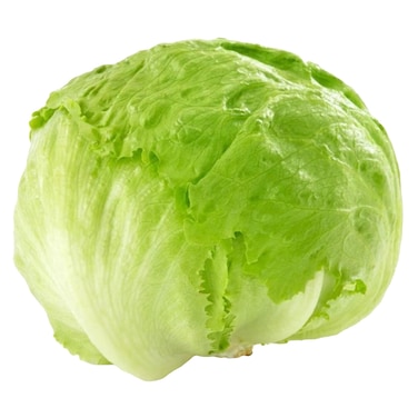 Lettuce Iceberg Pack