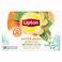 Lipton After Meal Herbal Infusion Ginger Fennel And Peppermint Tea 20 Tea Bags