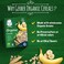 Gerber Organic Infant Cereals Wheat Oats And Banana 200g