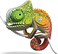 Eugy 075 Chameleon Eco-Friendly 3D Paper Puzzle [New Seal]