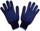 ABBASALI Blue dotted double sided Cotton Hand Gloves for Industrial and Indore (24 PCS)
