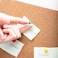 Aiwanto 3Pack 80 Pins Push Pins for Office School Notice Hanging Push Pins (80pc/Box, 3Box)