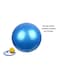 Fitness Pro Exercise Ball With Quick Pump 75cm