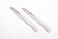 Stainless Steel 2Pc Fruit Knife Set, White Colour, BG39900WH