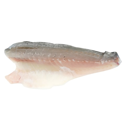Frozen Sea Bass Fillet