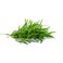 Farmed Here Tarragon