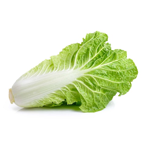 خس صيني