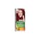 Garnier Hair Color Natural Cr&egrave;me Nourishing Permanent 6.60 Fiery Pure Red Rouge Argent Pur
