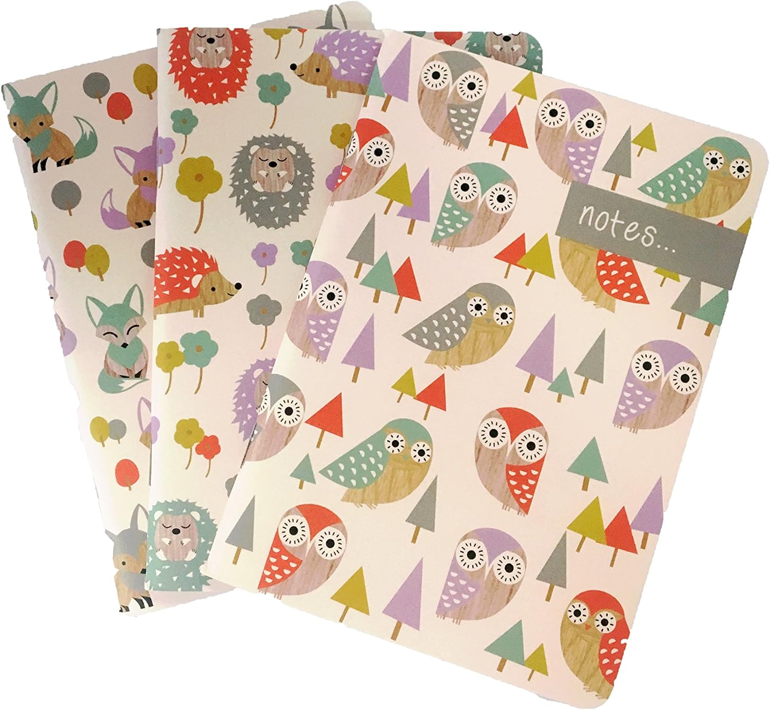 Buy Collins A6 Gift Pack Woodland Online | Carrefour UAE