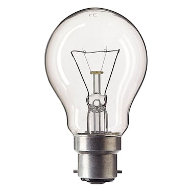 Philips B22 Standard Bulb 100W 1 Piece