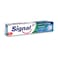 Signal Cavity Fighter Toothpaste With Mint - 120 Ml
