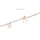 Aiwanto Anklet for Women's Rose Gold Ankle Chain