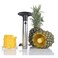 Easy Fruit Stainless Steel Pineapple Corer/Slicer/Peeler/Cutter