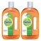 Dettol Antisep/Dsin 750ML X2  15Percent